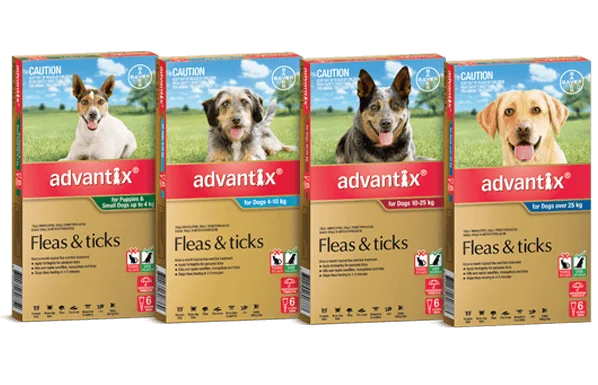 K9 Advantix