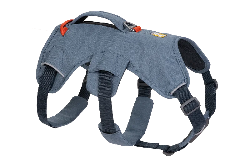 Used - Web Master™ Dog Harness with Handle