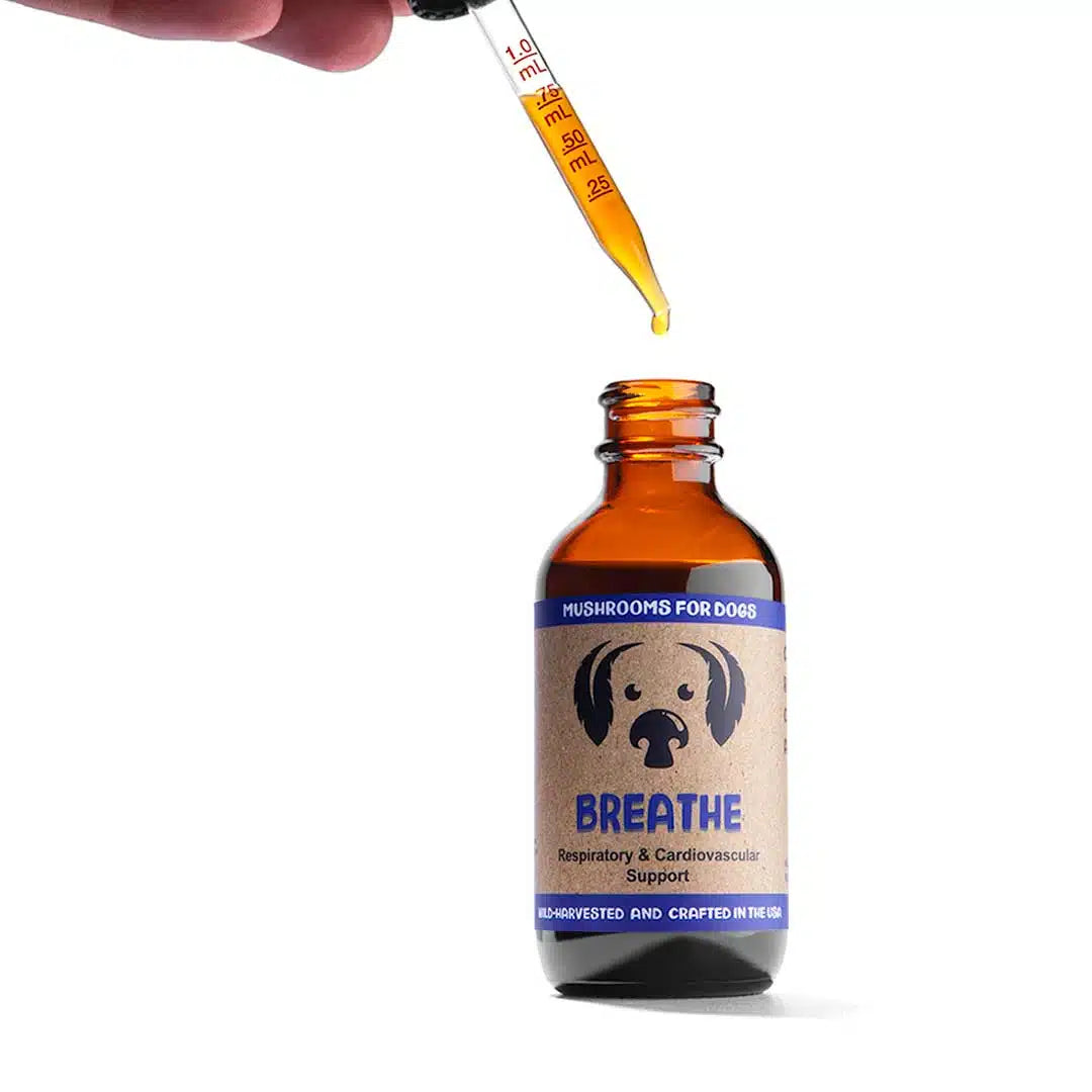 Breathe by MycoDog Mushroom Extract & Adaptogen Tincture