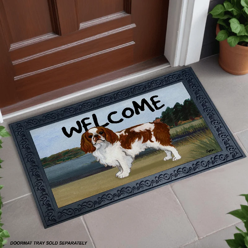 3. **Classification by material**English Toy Spaniel Welcome Mat