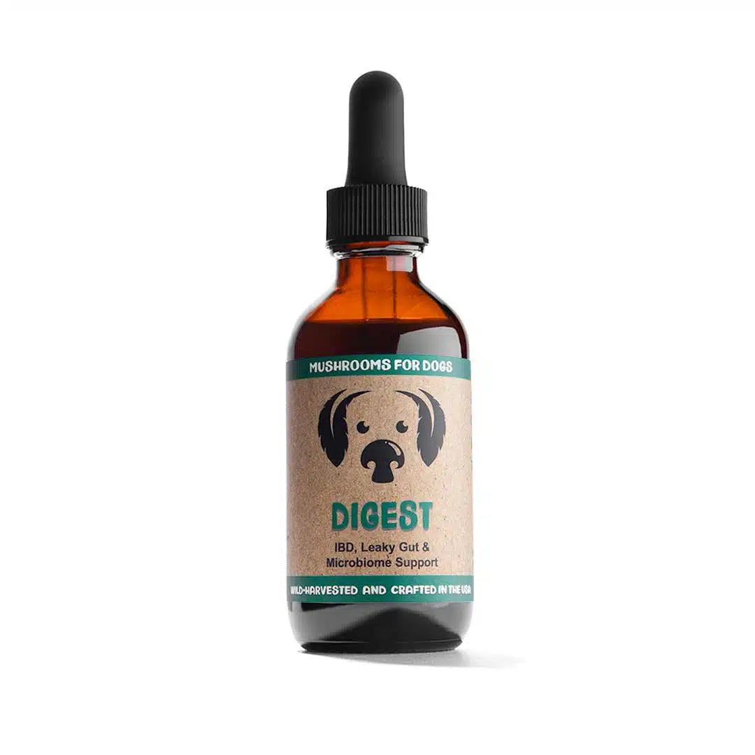 Digest by MycoDog Mushroom Extract & Adaptogen Tincture