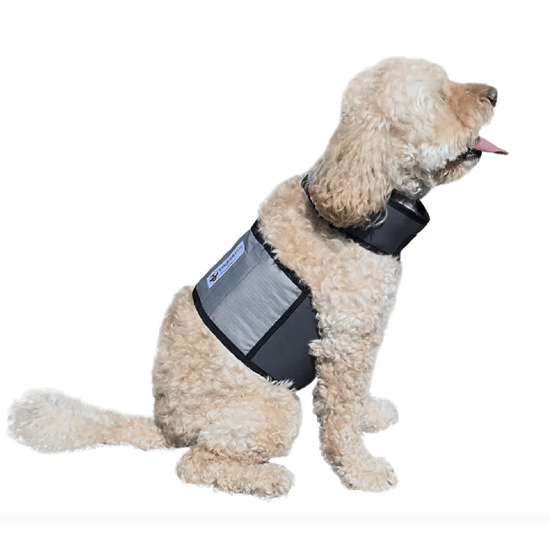 1. **Dog chest harness is anti-breakaway**Cooling Vest and Collar