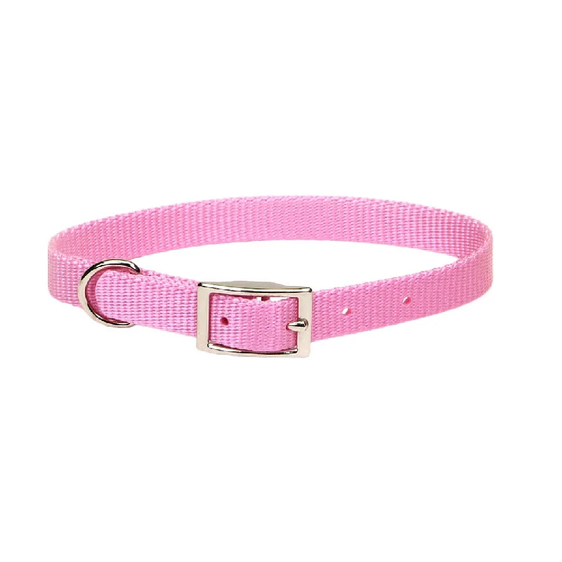 6. **Dog collar is luminous and reflective**Coastal Single-Ply Dog Collar