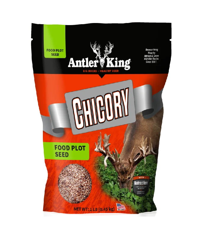 Antler King Chicory