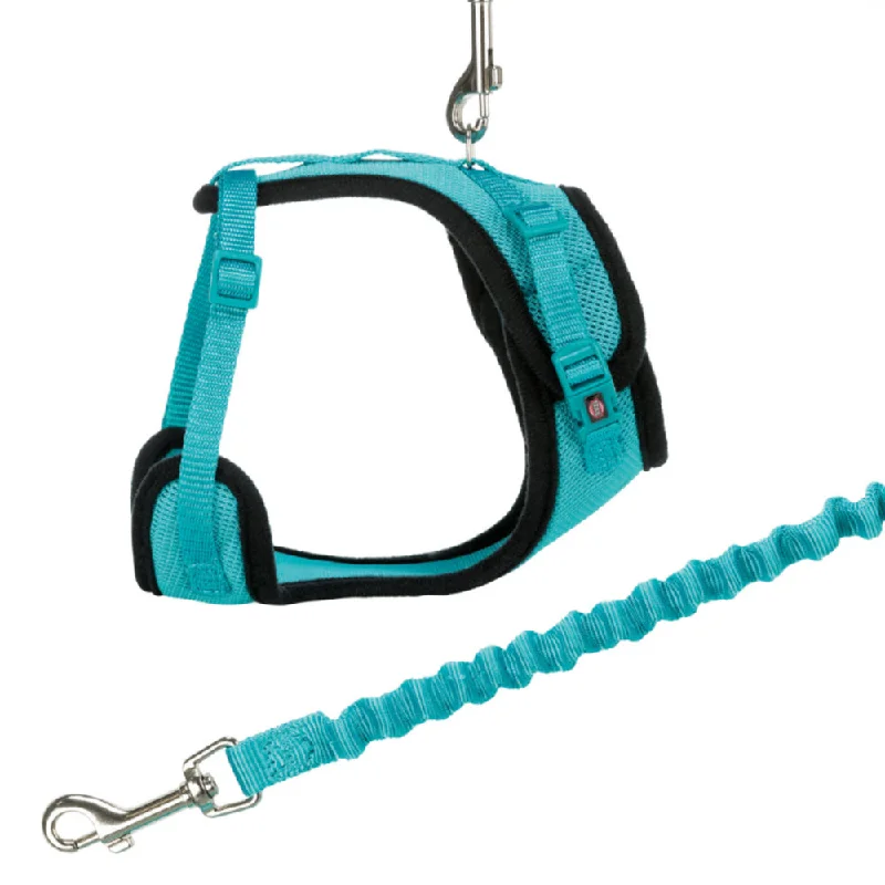  -Non-toxic pet toy recommendationsCat - Mesh Y Harness with Lead